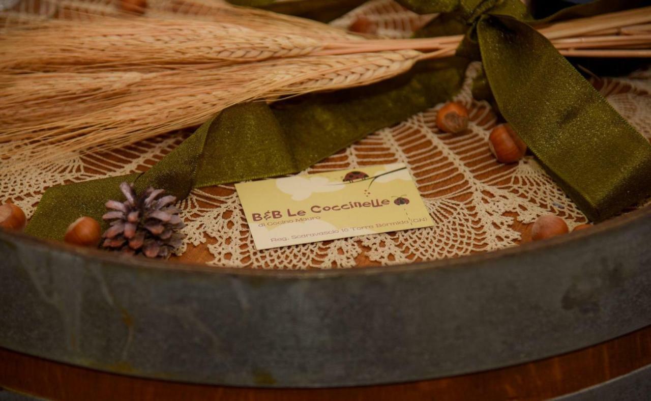 B&B Le Coccinelle Torre Bormida Ngoại thất bức ảnh